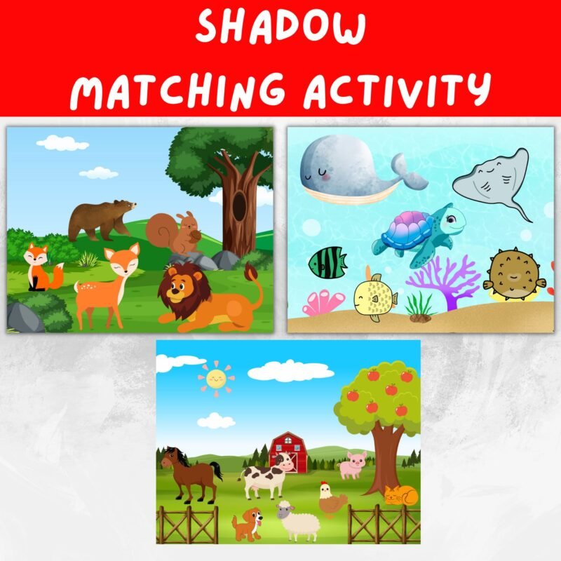 Animals Shadow Matching