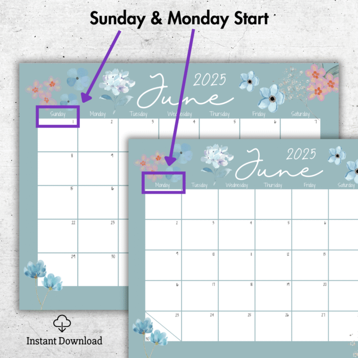 June 2025 Pastel Floral Printable Calendar ? Fillable PDF - Image 2