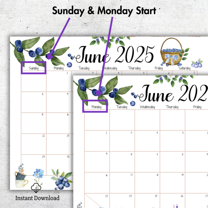 June 2025 Blueberry Calendar ? Printable Fillable PDF - Image 2